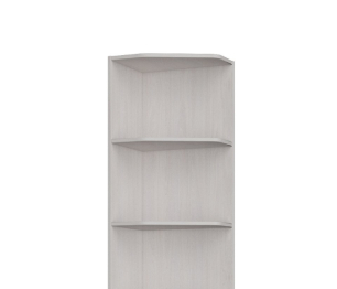 Стеллаж открытый торцевой Блогер ПМ-232.05