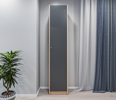 Шкафы в прихожую, Шкаф-пенал Сидней СБ-2684 Дуб дикий/Диамант серый